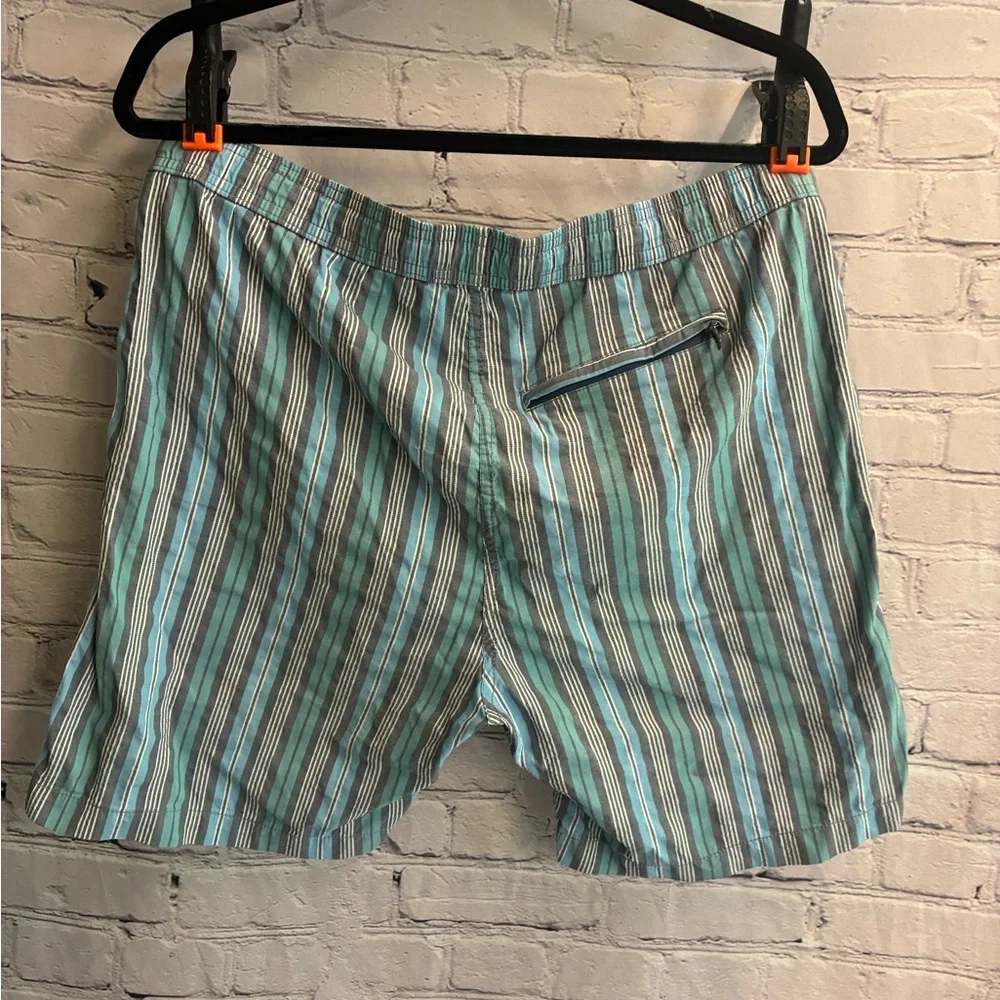 Onia Swim Trunk Shorts Men’s Blue Gray Stripe Print‎ Mesh Lined Pockets Size L